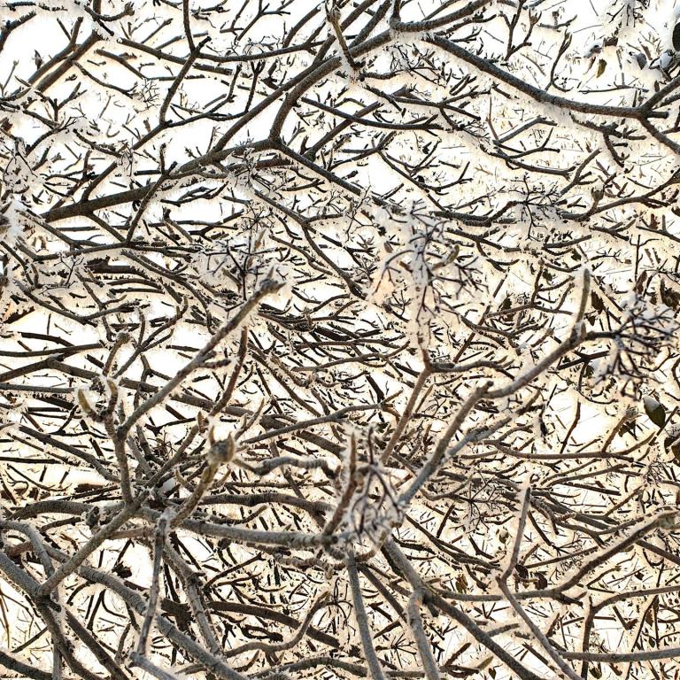 2022_12_18 Nürnberg (1)