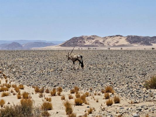 2024 Namibia (25)