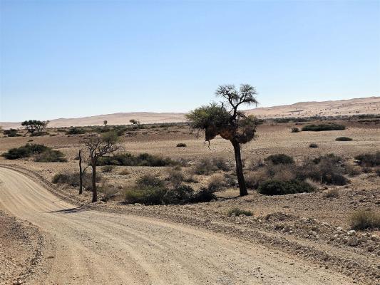 2024 Namibia (35)